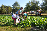 Heritage Festival 2011