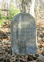 Elisha W Harris Family Cemetery #1